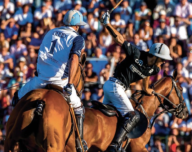 High Horses - Argentine Polo Open