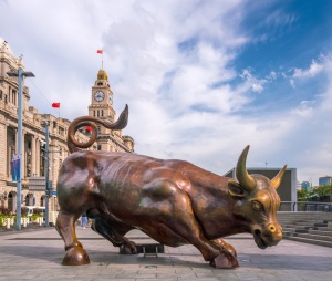 Bull Market - China Enterprise Zones