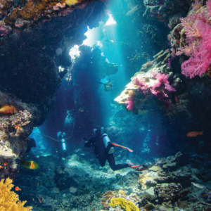 Underwater Joy - Diving Holidays Underwater Joy - Diving Holidays